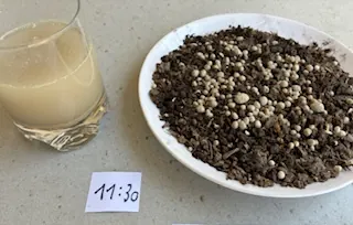 Löslichkeitstest um 11:30 Uhr: Kalk mit Schwefel (grobes Korn) auf humoser Erde, daneben ein Wasserglas mit milchig getrübtem Wasser