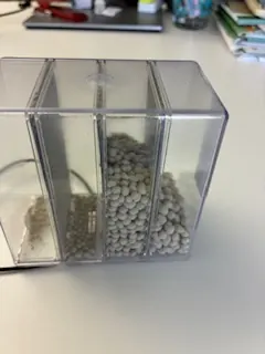 Musterbox mit Fächern, in der Mitte rundes Kalkgranulat
